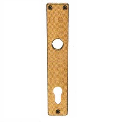 Escutcheon for Cylinders 85mm, Champagne