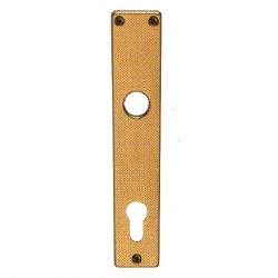 Escutcheon for Cylinders 85mm, Gold