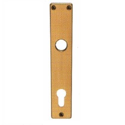Escutcheon for Cylinders 55mm, Champagne