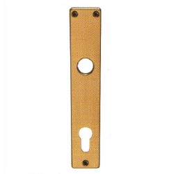 Escutcheon for Cylinders 55mm, Gold